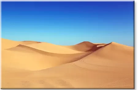 T0046F