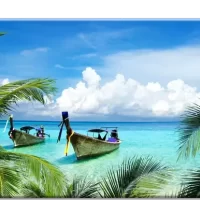 boats in the water with palm trees