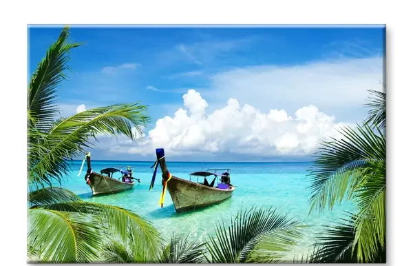 boats in the water with palm trees