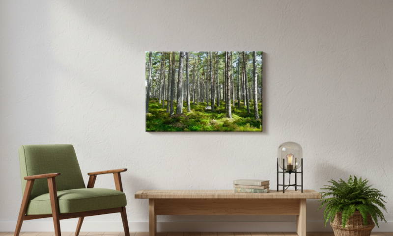 erdostajkep1 erdostajkep1