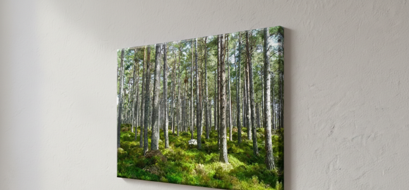 erdostajkep2 erdostajkep2