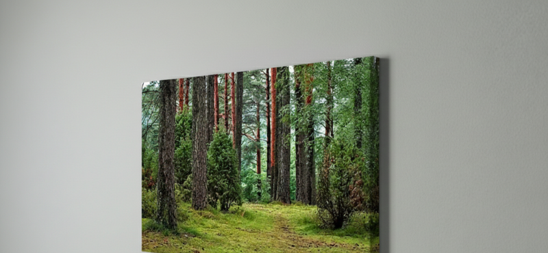 erdotajkep2 erdotajkep2