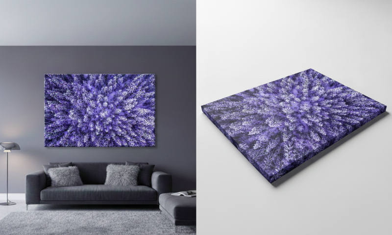 havasfenyerdo havasfenyerdo