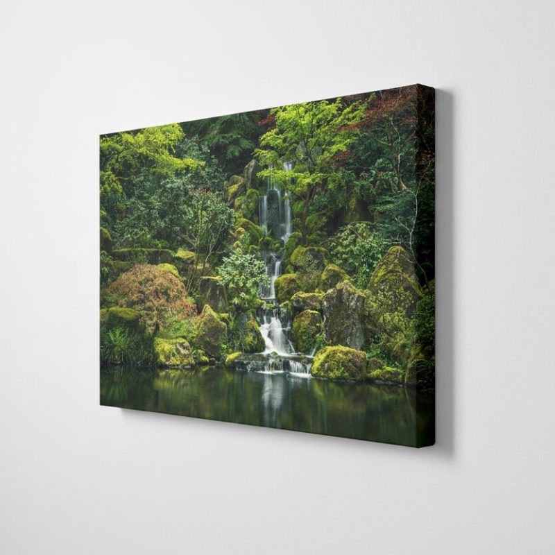 Gemini_Generated_Image_5jmyrb5jmyrb5jmy Gemini_Generated_Image_5jmyrb5jmyrb5jmy