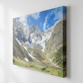 Gemini_Generated_Image_ai0fa2ai0fa2ai0f