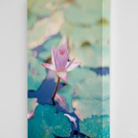 Gemini_Generated_Image_apj8ptapj8ptapj8