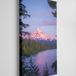 Gemini_Generated_Image_gxgwzagxgwzagxgw