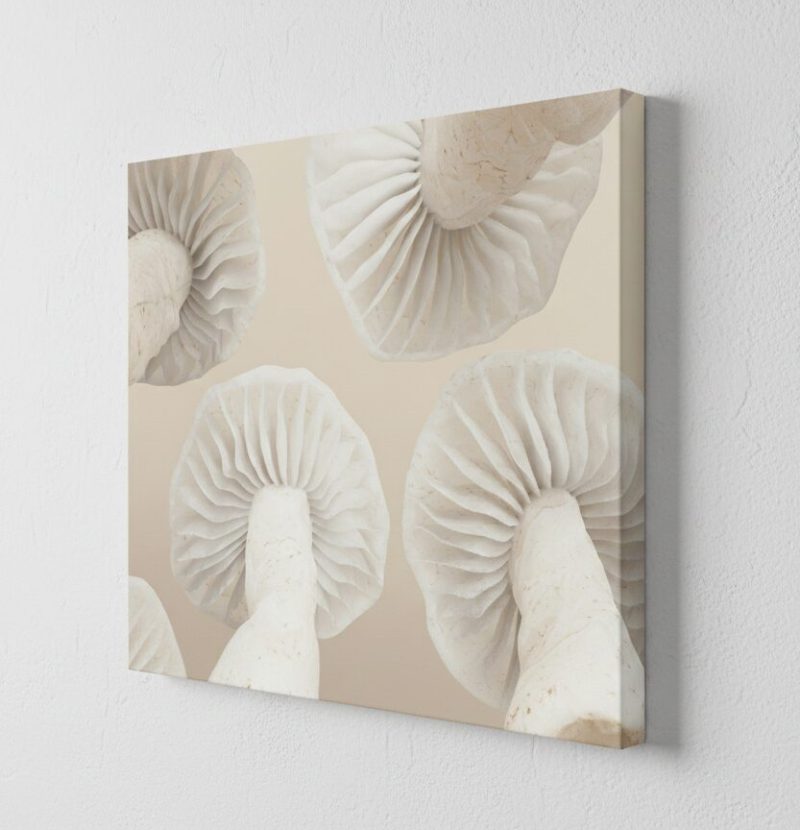 Gemini_Generated_Image_i869cmi869cmi869 Gemini_Generated_Image_i869cmi869cmi869