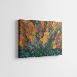 Gemini_Generated_Image_u4u7ihu4u7ihu4u7