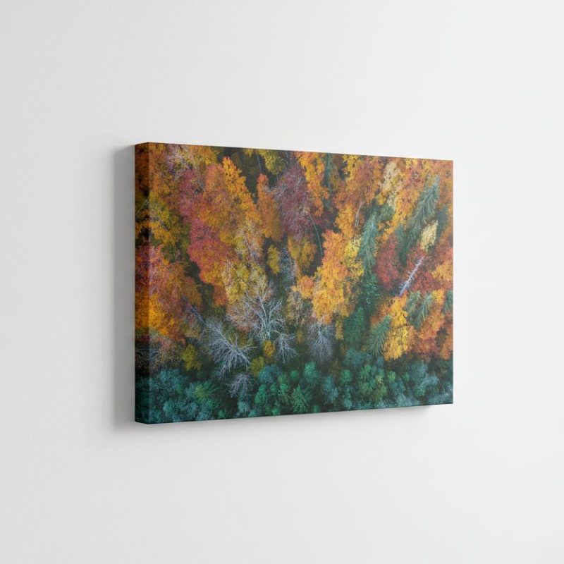 Gemini_Generated_Image_u4u7ihu4u7ihu4u7 Gemini_Generated_Image_u4u7ihu4u7ihu4u7