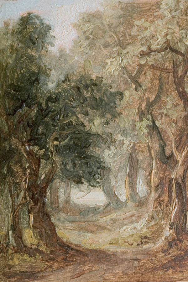 Vászonkép olajfák