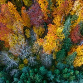 Vászonkép tájkép