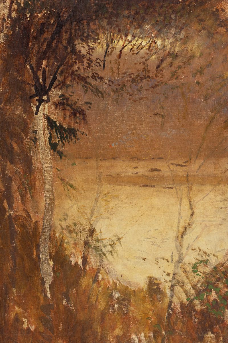 Nyírfa tájkép vászonkép