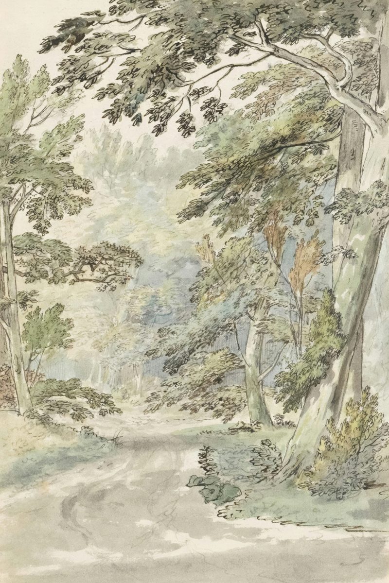 Erdei ösvény vászonkép