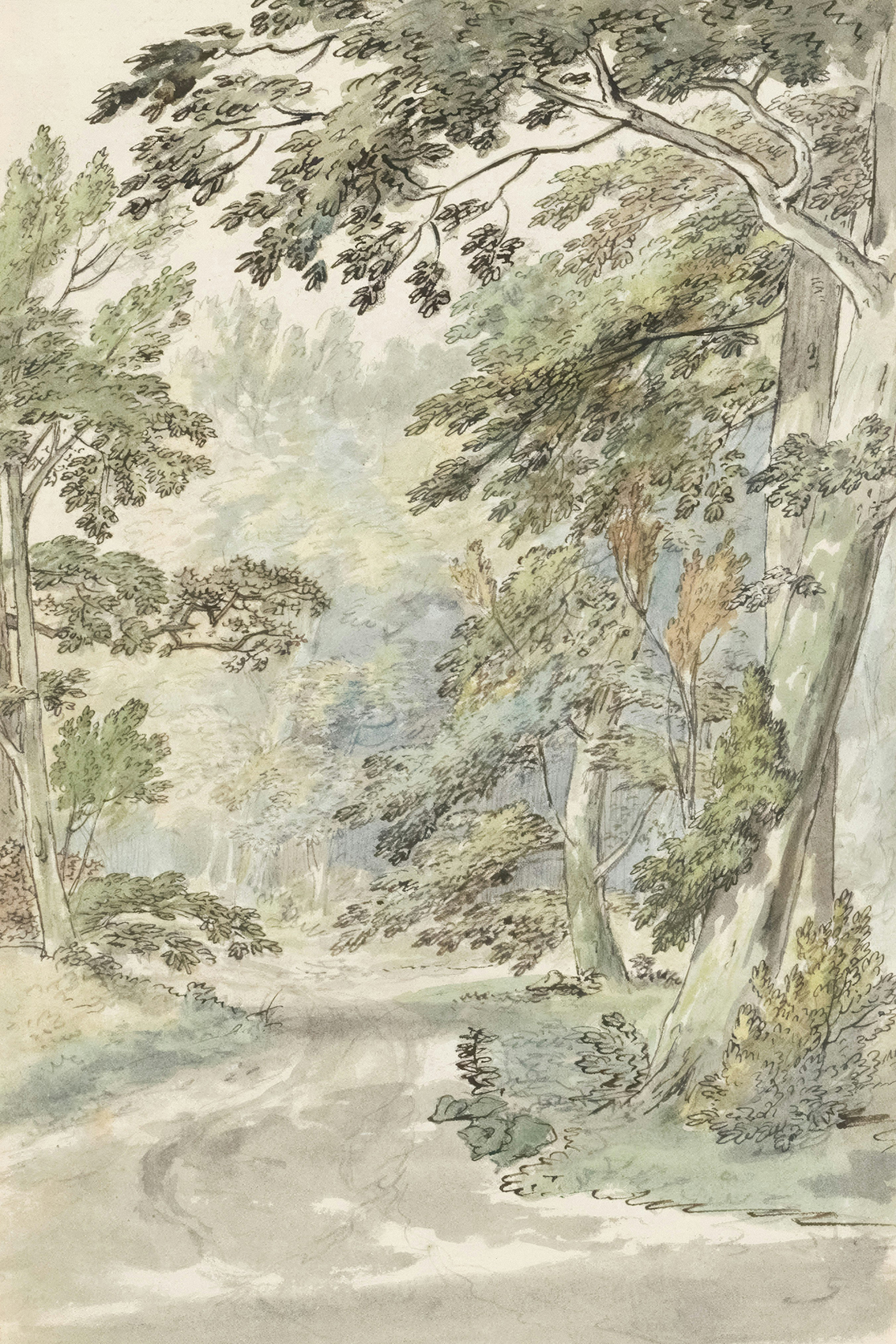 Erdei ösvény vászonkép