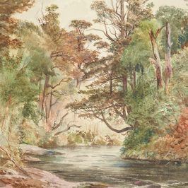 Erdei patak vászonkép