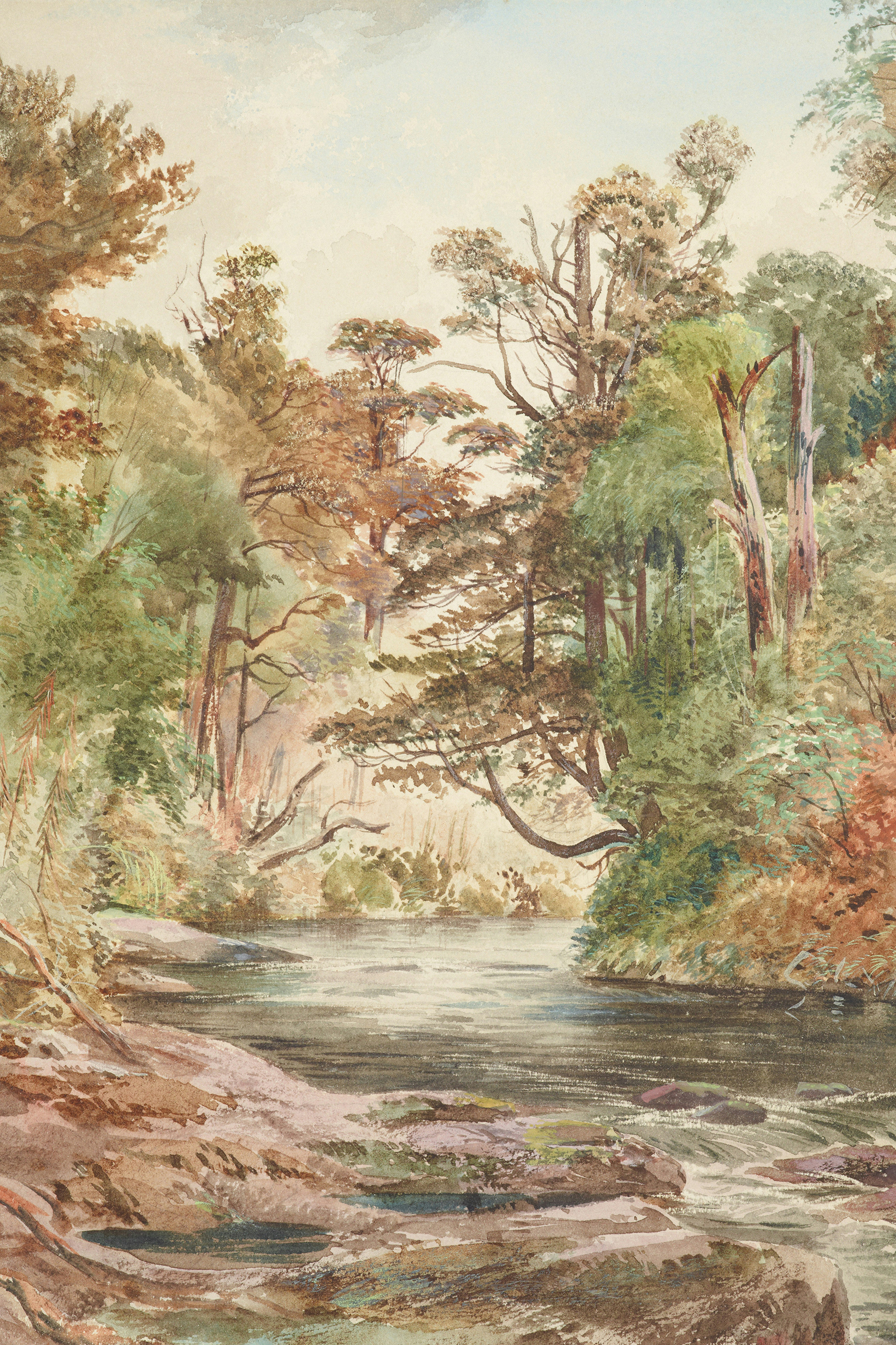 Erdei patak vászonkép