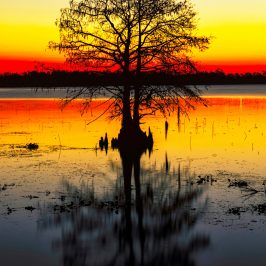 Alkonyat vászonkép